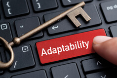 Learning through adaptability